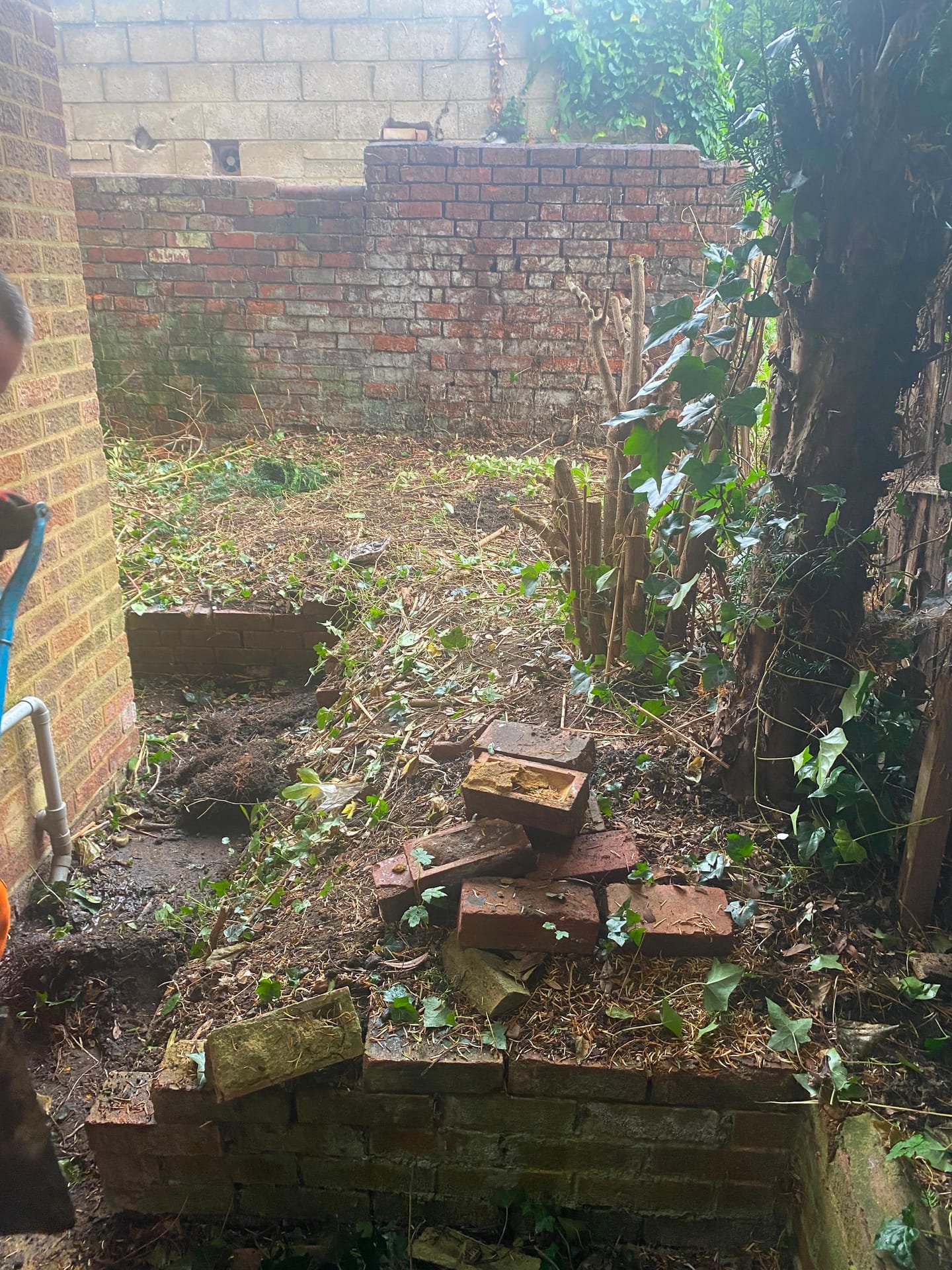 Garden clearance